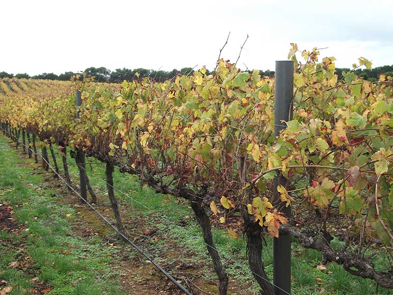 Agriculture Posts APR Composites Australian Composite Products